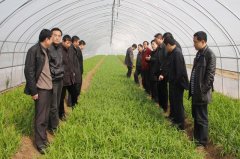 壽縣壽西湖農(nóng)場400立方保鮮冷庫安